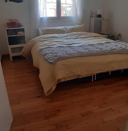 雅典Exarchia Flat公寓 外观 照片